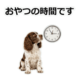 856136800