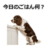856136804