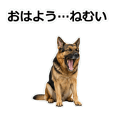 856136825