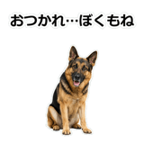 856136828