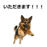 856136832