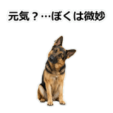 856136834
