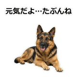 856136835
