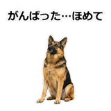 856136837