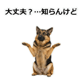 856136840