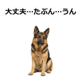 856136841