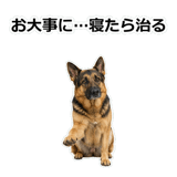 856136842