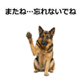 856136843