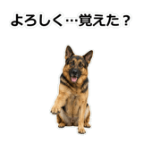 856136844