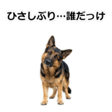 856136845