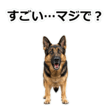 856136846