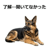 856136849
