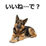 856136852