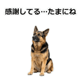 856136853