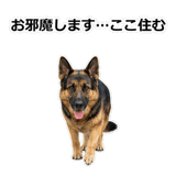856136855