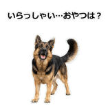 856136856