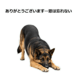 856136859
