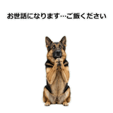 856136862