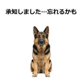 856136863