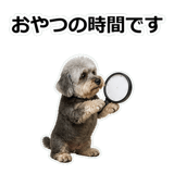 856136920
