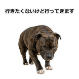 856136965