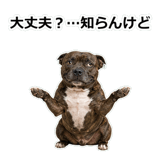 856136976