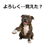 856136980