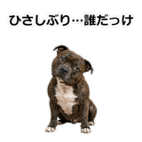 856136981