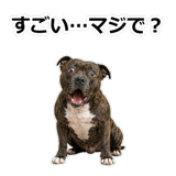 856136982