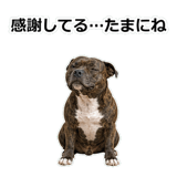 856136989