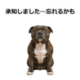 856136999