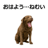856137001
