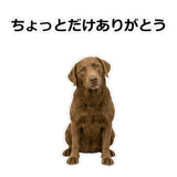 856137003
