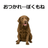 856137004