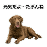 856137011