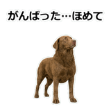 856137013