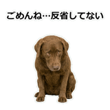 856137015