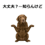 856137016
