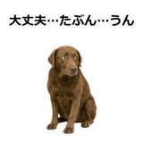 856137017