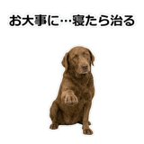 856137018