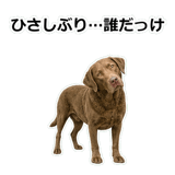 856137021