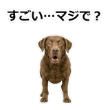 856137022