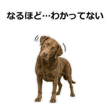 856137024