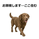 856137031