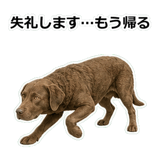 856137034