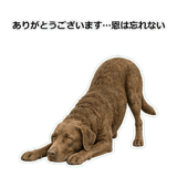 856137035
