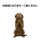 856137038