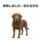 856137039