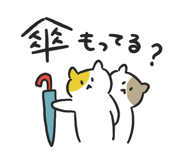 856146823