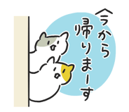 856146841